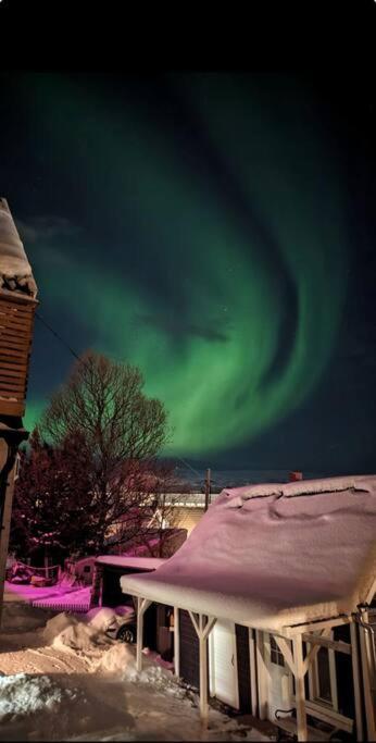 In The Heart Of The Aurora Borealis - Tromso City Экстерьер фото